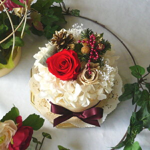 vU[uht[/t[P[L/JvXEP[L@IyNX}XMtgzaAjALOȂ