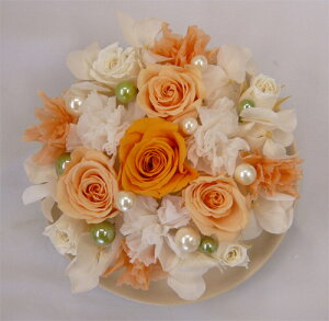 vU[uht[/t[P[L/IWJ[P[L a@LOȂ