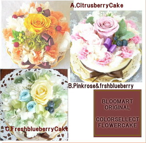 vU[uht[/t[P[L/J[ZNg@P[L@IyvU[uhEt[z@ya ԁzyj ԁzv[g Mtg  aj j j 