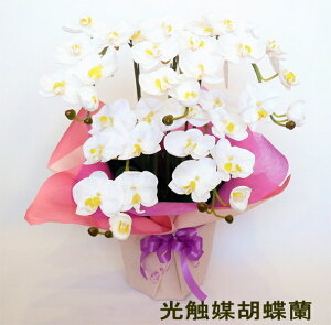 G}@ԁ@Ӓ/5{EyJƏjzyJ@jzyJzyDjzyWjz