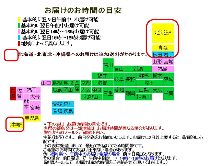 楽天市場 観葉植物 花月 金のなる木 4 5号 開店祝い 新築祝い 誕生日 バレンタインデー 花言葉は 一攫千金 幸運を招く 花器はプラスチック製です フラワーギフト ブルーマート