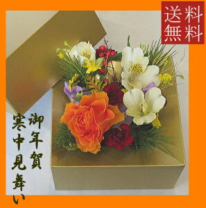 yt[BOXz u[}[gS[hVtBOX@@yΉ@yNzyazyjzyz