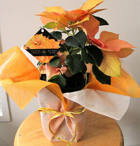 |CZ`A S[h@5yNX}XMtgz