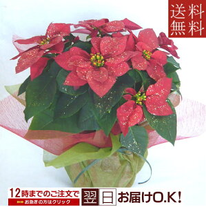 G߂̔ԁ@|CZ`A@tI5yzyNX}XMtgz