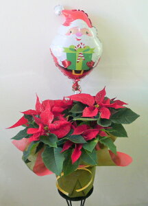 G߂̔ԁ@o[t[@t@y|CZ`AzyNX}XMtgzyz