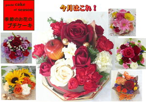 t[P[L S/G߂̂Ԃ̃v`P[L@v`mGyIzNX}X@~@a@j