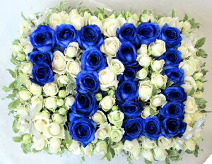 yt[P[Lzo[Xf[@io[u[[Y@Ê̂jɁIyaԁzyLO ԁz