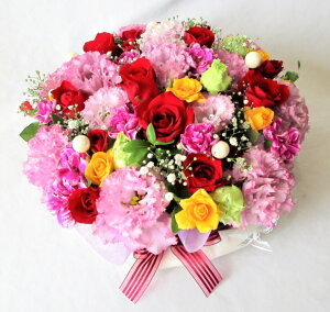 t[P[L/p[vEbh@L yP[Lt[zyԂ̃P[Lza@LO@j