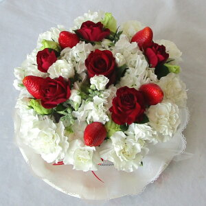 t[AWg/̃V[gP[LyP[Lt[zyazyjzyIzHׂ܂cI