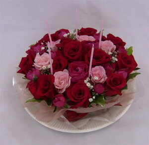 yt[P[LzԁsN[YyN[ւł͂IzyIzyjzyazyjz