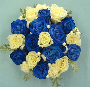 yt[P[LzyCebgu[[Yt[P[Lyj ԁzya ԁzyu[[Yzyoz