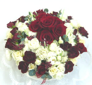 yt[P[LzzCgbh[YXyVyazyLO zyjz