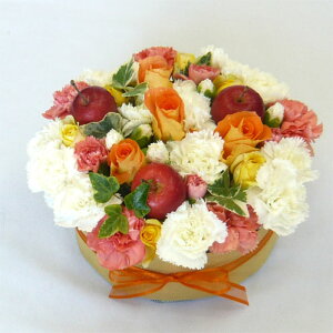 t[P[L/IWAbv yP[Lt[zyazyjzyIzysmtb-tkz