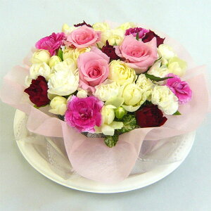 t[P[L sNP[L yj ԁzya ԁzyP[Lt[z