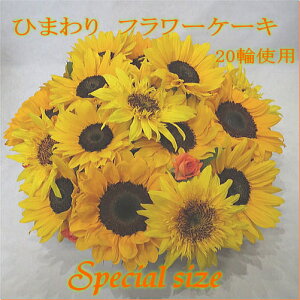 yt[P[Lz@Ђ܂XyVP[Lyq}zyzya@ԁzi7E8N[֎gpjj