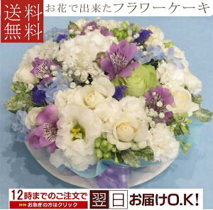 yt[P[Lz u[}[gXC[gP[L@LzCgu[ yΉ@yP[Lt[zyazyjzyIz