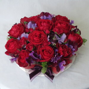 t[P[LLL/bh[Y@GKgyN[ւł͂Izyaԁzyҗjzyo^CMtgz