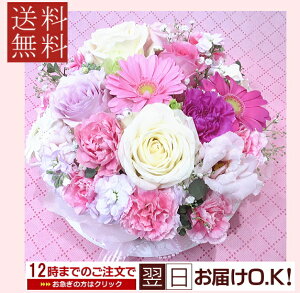 t[P[L/u[}[gXC[gP[L zCgsN@L yΉi7E8N[֎gpj@yP[Lt[zyazyjz