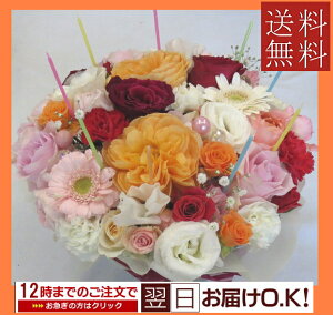 yt[P[Lz u[}[gXC[gP[L@LL yazyjzyP[Lt[zyN[ւł͂IzyyΉz