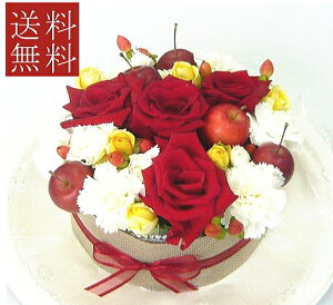 yt[P[Lz XC[gAbv/P[Lt[ yIzyazyjzyjzysmtb-tkz