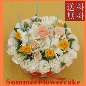 t[P[L/T}[t[ yP[Lt[zyIz@a@LO@j