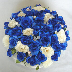 yt[P[LzXyVu[[Yyu[[ỶԌtF_̏jAсAՁzyoza@j@LO@j