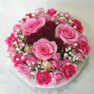 t[P[L XyVsN/P[Lt[@a@j@ސEjȂ