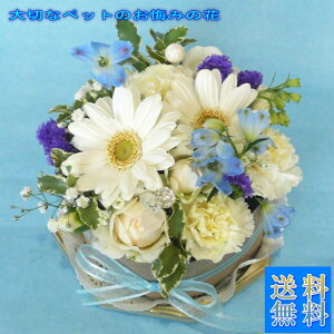 ̉/v`Kg[@u[ỷ݂ԁzyzqlybĝ݂Ɂ@D̂Ԃ܂B