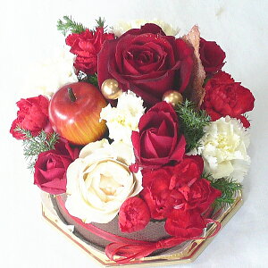 yt[P[Lzu[}[gv`EmG@XC[gP[L@yIzyNX}Xzyazy~z