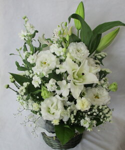   y~̉ԁzy䋟zy@vzyފ݂̉ԁzy~zỷ݂ԁzyz