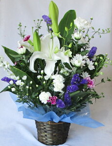   zCgu[yzy䋟zyȂzy@vzy~̉ԁzy~zỷ݂ԁz