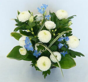  /s|}@vAWy@vzy~̉ԁzy~zỷ݂ԁz