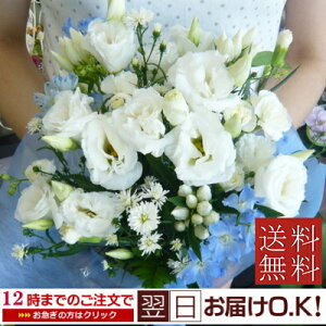 ԁ@zCgu[ yzyzy@vzyފ݂̉ԁzỷ݂ԁzy䋟z