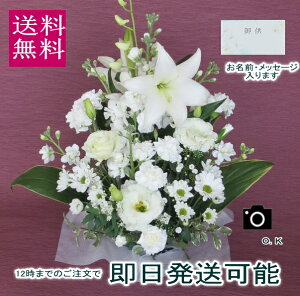  ԁ@zCgIy䋟zy@vzỷԁzy@v̉ԁzỷ݂ԁzyzyԁz