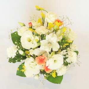 ԁ@zCgCG[ yzyzy@vzyފ݂̉ԁzy~̉ԁzy~zỷ݂ԁzy䋟z