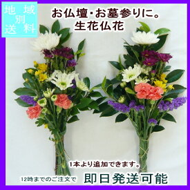 楽天市場 お彼岸 花の通販