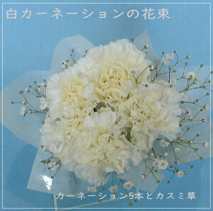 J[l[Vԑ5{@SyzIy̓ ԁzSȂꂽl