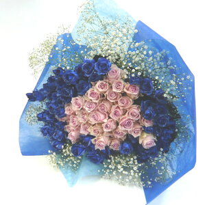 ỏԑ/Vo[u[[YsNou[P100{ysmtb-tkzyj ԁzya ԁz