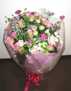 ỏԑ/}eBbNJ[u[P@XyV