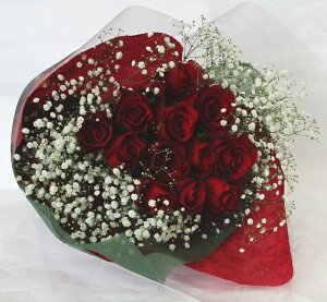 傫Ȑԃỏԑ / ԃo12{JX~Eԑu[P@~XyV[Y~