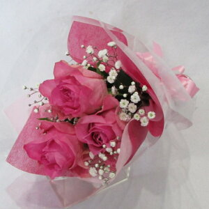 ỏԑ/sNo3{JX~Eԑu[PyaԁzyjԁzyLO ԁzyvw̓ɂ߂łIz