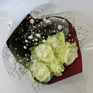 ỏԑ/o5{JX~Eԑu[Pyaԁzyl̂jԁzyLO ԁz