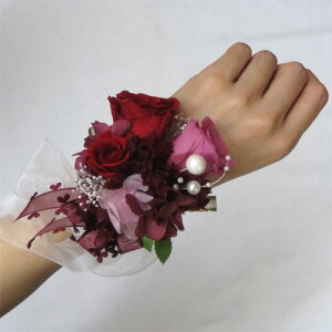 EGfBOu[P/uC_u[P/vU[uht[@XbgM@ԁi1_j u[P ybouqetz