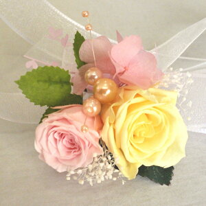 EGfBOu[P/uC_u[P/vU[uht[@XbgS@sN&CG[i1_jybouqetz