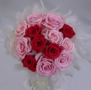 EGfBOu[P/uC_u[P/vU[uht[/t@[u[P17