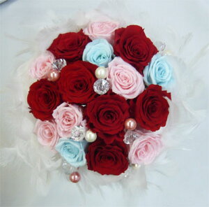 EGfBOu[P@vU[uht[u[P@t@[u[P29 iԁsNFjysmtb-tkz