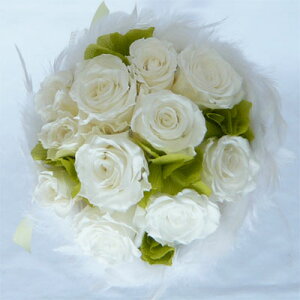 uC_u[P@vU[uht[@t@[u[P@28@zCg[YO[AWTCysmtb-tkz