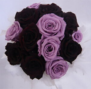 EGfBOu[P@uC_u[P@vU[uht[u[P@t@[u[P13CAo@Ehu[Pysmtb-tkz