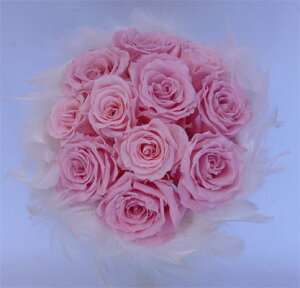 EGfBOu[P@uC_u[P@vU[uht[u[P@sN[Ỹt@[u[P14ysmtb-tkz