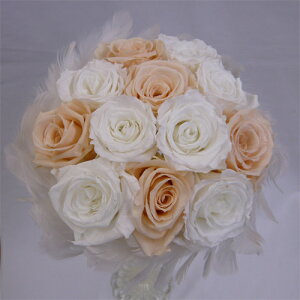 EGfBOu[P/uC_u[P/vU[uht[/t@[u[P 8ysmtb-tkz